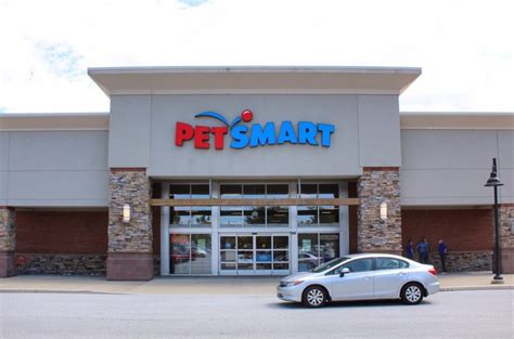 Your trainer may recommend private classes. . Petsmart classes